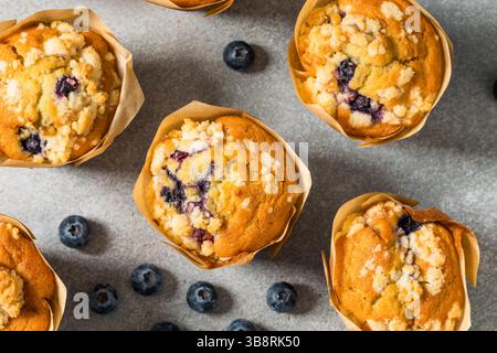 Hausgemachte süße Heidelbeermuffins zum Frühstück mit Zucker Stockfoto