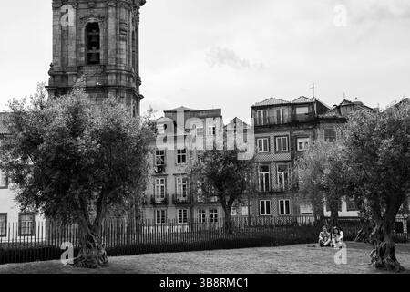 Ein Paar genießt den Olivengarten neben dem Torre dos Clérigos Stockfoto