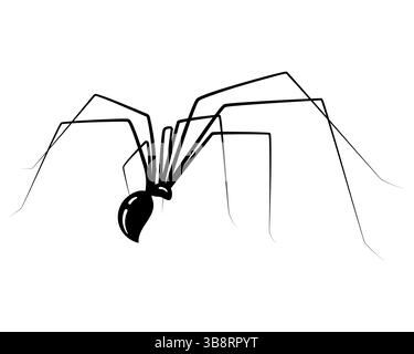 Minimalistische Darstellung einer Spinne, die Angst oder Halloween symbolisiert. Klares, modernes Design, ideal für die Nutzung im Internet, Infografiken oder gruselige Grafiken. Ed Stock Vektor