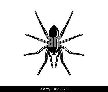 Auffällige schwarze Silhouette einer Spinne auf einem sauberen weißen Hintergrund. Perfekt für Halloween-Designs, Insekten-Illustrationen oder symbolische Darstellungen. B Stock Vektor