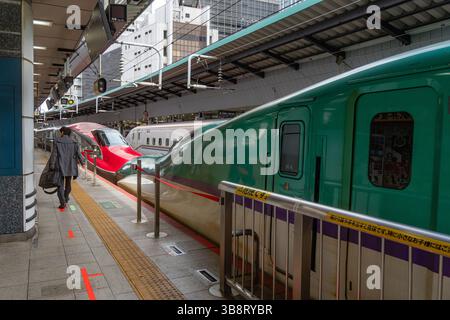 Tokio, Japan - 15. Januar 2025 Shinkansen Hochgeschwindigkeitszug parkt im Bahnhof. Stockfoto