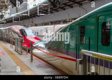 Tokio, Japan - 15. Januar 2025 Shinkansen Hochgeschwindigkeitszug parkt im Bahnhof. Stockfoto