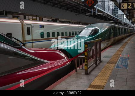 Tokio, Japan - 15. Januar 2025 Shinkansen Hochgeschwindigkeitszug parkt im Bahnhof. Stockfoto
