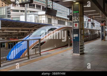Tokio, Japan - 15. Januar 2025 Shinkansen Hochgeschwindigkeitszug parkt im Bahnhof. Stockfoto