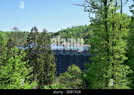 Sengbachtalsperre im Naturpark Sengbachtal, Deutschland Stockfoto