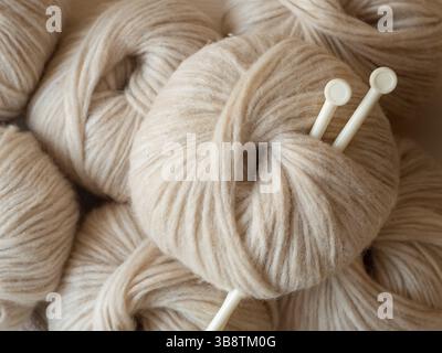 Ästhetisches Bild von beigefarbenem hellem, luftigem Garn-Skein. Nahaufnahme von mitteldickem Blasgarn aus Baby-Alpaka und Merinowolle. Stricknadeln stecken i Stockfoto