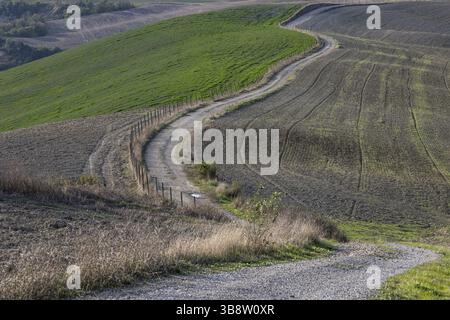 Gewundene Landstraße durch hügelige, grüne und braune Landschaft in der Toskana, Val d'Orcia, Provinz Siena, Toskana, Italien, Europa Stockfoto