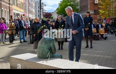 Chemnitz, Deutschland. Mai 2025. John R. Crosby, US-Generalkonsul, legt eine weiße Rose an der Gedenkstätte für den Auschwitz-Überlebenden Justin Sonder, um den 80. Jahrestag des Endes des Zweiten Weltkriegs zu gedenken. Am 8. Mai 1945 endete der zweite Weltkrieg in Europa mit der Unterzeichnung der bedingungslosen Kapitulation Deutschlands am Vortag. Quelle: Hendrik Schmidt/dpa/Alamy Live News Stockfoto