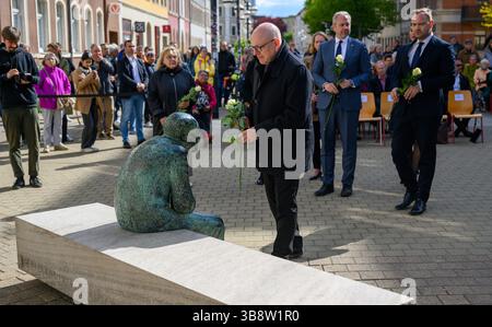 Chemnitz, Deutschland. Mai 2025. Sven Schulze (SPD), Oberbürgermeister von Chemnitz, legt anlässlich des 80. Jahrestages des Endes des Zweiten Weltkriegs eine weiße Rose an der Gedenkstätte für Auschwitz-Überlebenden Justin Sonder. Am 8. Mai 1945 endete der zweite Weltkrieg in Europa nach der Unterzeichnung der bedingungslosen Kapitulation Deutschlands am Vortag. Quelle: Hendrik Schmidt/dpa/Alamy Live News Stockfoto