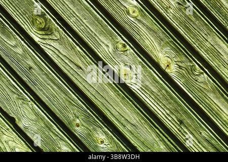 Grün lackierte Holzstruktur. Diagonaldielen mit Knoten und Körnung. Rustikaler Holzhintergrund in hellem Grünton. Abstraktes Naturmaterialmuster. Stockfoto
