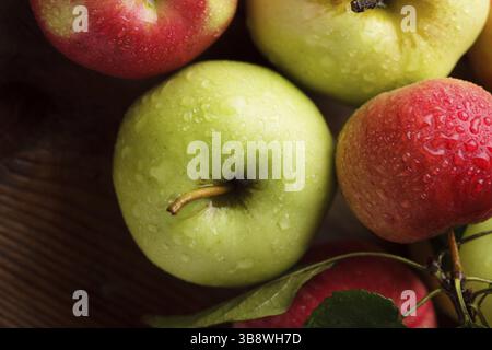 Verschiedene Äpfel auf Holztisch im Garten Stockfoto