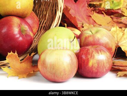 Apfel im Korb, Streuung auf weißem Hintergrund Stockfoto