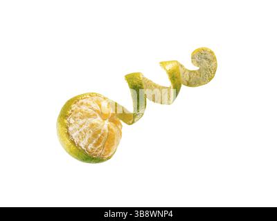 Frische reife grüne Mandarine mit Spiralschale. Halb geschälte grüne Mandarine isoliert auf weißem Hintergrund mit Beschneidungspfad Stockfoto