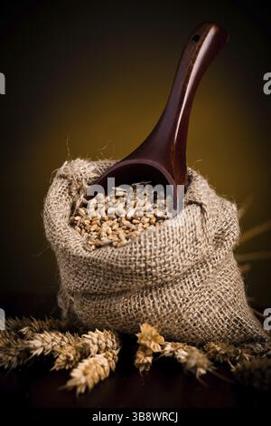 Weizen in Jute-Tasche und hölzerne Schaufel Stockfoto