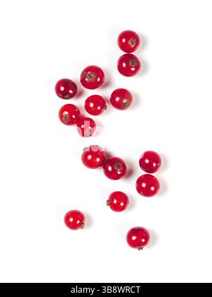 Kreatives Layout von roten Johannisbeeren. Essen und Diät-Konzept. Draufsicht auf reife rote Johannisbeerbeeren mit Kopierraum. Isoliert auf weiß mit Clipping p Stockfoto