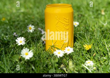 Leuchtend gelbe Coca-Cola® Dose mit geprägtem Logo auf üppigem grünem Gras, umgeben von weißen Gänseblümchen und Wildblumen, Sommerfrischkonzept Stockfoto