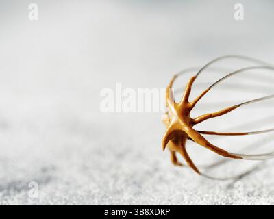Schneebesen mit trendigem koreanischen Dalgona-Kaffee. Schlagsahne Instant-Kaffee auf Metall Schneebesen über grauen Zement Hintergrund mit Kopierraum für Text oder Design Stockfoto