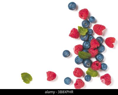 Verschiedene frische Sommerbeeren Hintergrund mit Platz für Text.Kreatives Layout von frischen Heidelbeeren, Himbeeren und Minzblättern, isoliert auf weiß Stockfoto