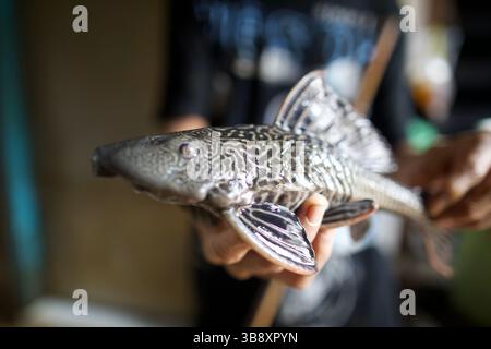 10. Oktober 2022: Jakarta, Indonesien, 10. Oktober 2022: Hochwasser in Ost-Pejaten, Süd-Jakarta. Die Hochwasserursache durch den Überlauf des Ciliwung River (Foto: © Donal Husni/ZUMA Press Wire) Stockfoto