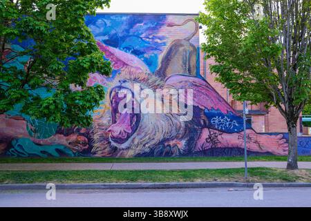 Ein Löwengemälde entlang eines Gehwegs in Mount Pleasant, Vancouver, BC. Stockfoto