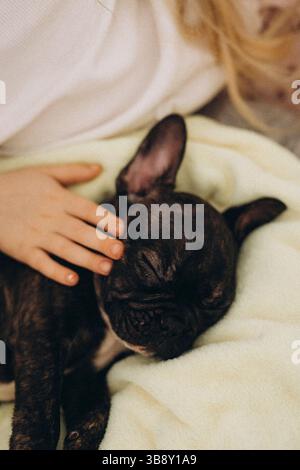 Nahaufnahme eines kleinen französischen Bulldogge-Welpen, der friedlich auf einer Decke schläft, sanft von der Hand eines Kindes gestreichelt. Gemütlicher und herzerwärmender Moment Stockfoto