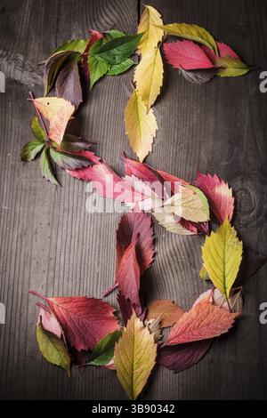 Dollar-Symbol von Blättern auf hölzernen Hintergrund Stockfoto