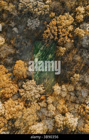 Drone Draufsicht auf schönen kühlen Fußballplatz im Herbst Laubwald. Ruhiger, sonniger Tag mit Schatten von hohen Bäumen. Shooler Kinder pl Stockfoto