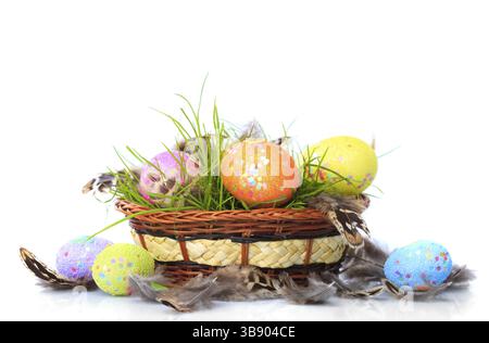 Die ostereier auf frischem grünem Gras im Korb isoliert auf weißem Hintergrund Stockfoto