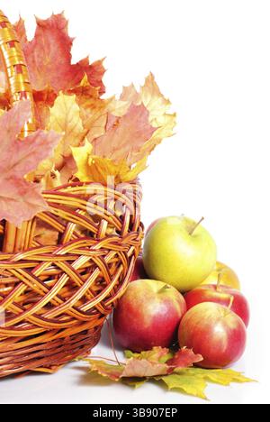 Apple und Korb mit Ahorn-Blätter, Streuung auf weißem Hintergrund. Symbol des Herbstes Stockfoto