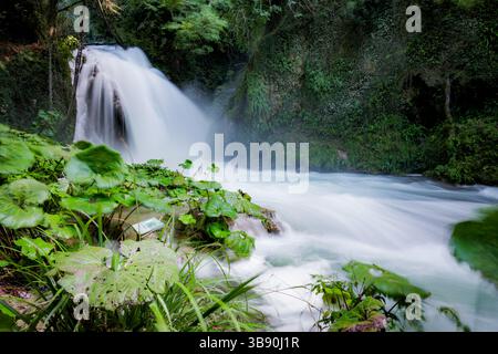 Marmore Falls, die durch üppige grüne Wälder in Umbrien, Italien, kaskadieren Stockfoto