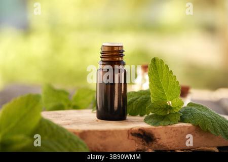 Ätherisches Melisse- oder Zitronenmelisse-Öl in einer braunen Glasflasche draußen Stockfoto