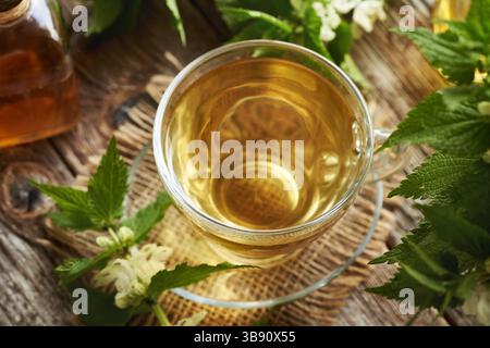 Eine Tasse Kräutertee mit frischen weißen Brennnessel-Blüten und Blättern Stockfoto