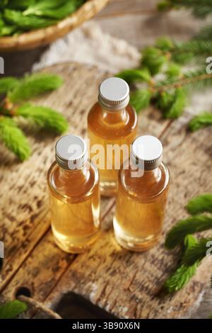 Drei Flaschen hausgemachter Kräutersirup, hergestellt mit jungen rohen Fichtenspitzen, die im Frühjahr geerntet werden Stockfoto