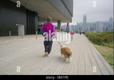Spaziergang mit dem Hund entlang der Uferpromenade vor dem M+ Museum Stockfoto