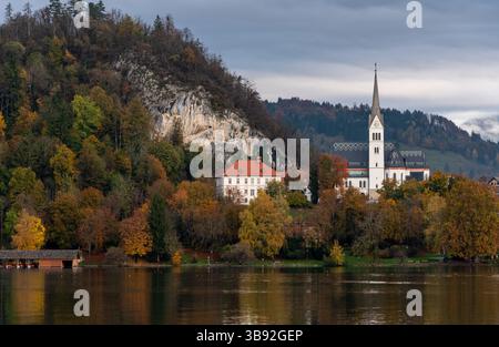 Malerischer Blick auf den See bled mit St.. Martins Pfarrkirche und farbenfrohes Herbstlaub in Bled, slowenien Stockfoto