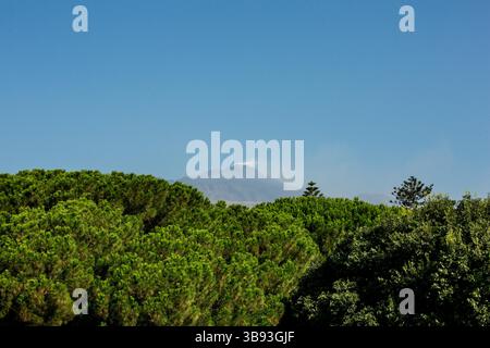 28. Juli 2019, Sizilien, Italien: Ätna, hat seine größte Eruption seit 10 Jahren begonnen (Foto: © Sadak Souici/ZUMA Press Wire) Stockfoto