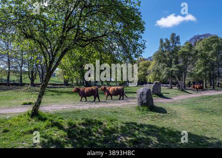 Schloten Cairns Stockfoto