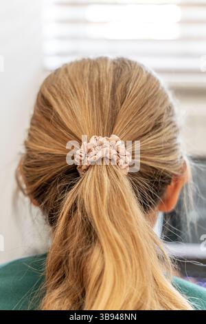 Rückansicht des blonden Haares in Ponytail mit Beige Scrunchie. Stockfoto