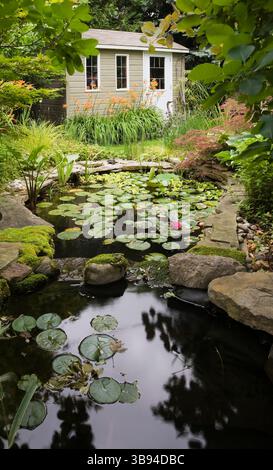 Teich mit Nymphaea - Wasserlilien und Gartenschuppen flankiert von orange Hemerocallis 'Sammy Russel' - Taglilienblumen durch Cotinus - Rauchbäume. Stockfoto