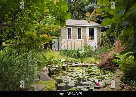 Teich mit Nymphaea - Wasserlilien und Gartenschuppen flankiert von orange Hemerocallis 'Sammy Russel' - Taglilienblumen durch Cotinus - Rauchbäume. Stockfoto