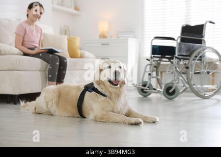 Mädchen mit Behinderung, das Buch liest, und ihr Diensthund zu Hause, selektiver Fokus Stockfoto