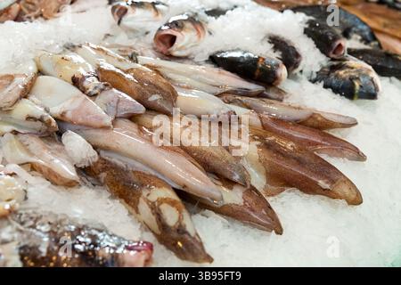 Rohe Calamari auf Eis auf der Theke Stockfoto