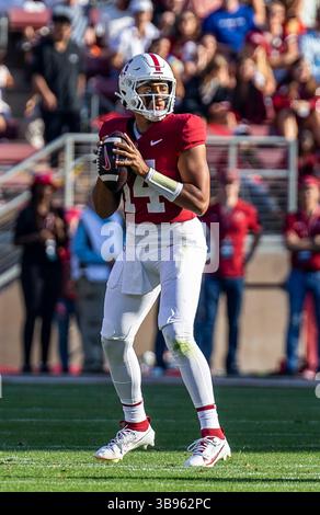 23. September 2023 Palo Alto, CA USA Stanford Quarterback Ashton Daniels (14) sucht während des NCAA Football-Spiels zwischen den Arizona Wildcats und dem Stanford Cardinal nach dem Tiefpass. Arizona besiegt Stanford 21-20 im Stanford Stadium Palo Alto, CA Thurman James / CSM (Foto: © Thurman James/CSM via ZUMA Press Wire) Stockfoto