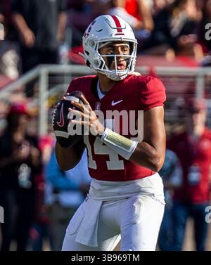 23. September 2023 Palo Alto, CA USA Stanford Quarterback Ashton Daniels (14) sucht während des NCAA Football-Spiels zwischen den Arizona Wildcats und dem Stanford Cardinal nach dem Tiefpass. Arizona besiegt Stanford 21-20 im Stanford Stadium Palo Alto, CA Thurman James / CSM (Foto: © Thurman James/CSM via ZUMA Press Wire) Stockfoto