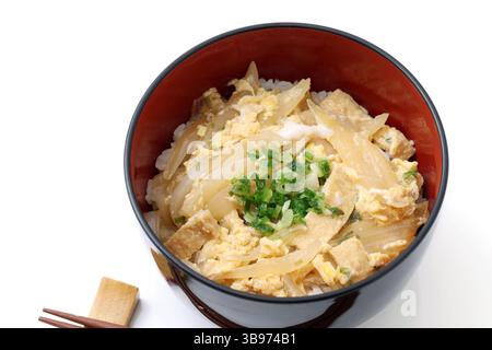 Japanische traditionelle Küche Oyakodon, Schüssel Reis mit gekochtem Huhn und Eiern Stockfoto