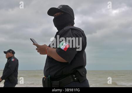 26. Januar 2023, Puerto Progreso, Yucatan, Mexiko: Ein verletzte und gestrandeter Delfin wurde von Mitarbeitern der Abteilung für Meeresbiologie der Autonomen Universität von YucatÃ¡n (UADY) und anderen Polizeibeamten gerettet, da das Säugetier am Donnerstag, den 26. Januar 2023, in eine Beobachtungseinrichtung gebracht wurde, um es über Nacht zu halten und gegebenenfalls weitere Interventionen zu bewerten, um das Meerestier an einem weiteren Termin am Strand von Puerto Progreso in YucatÃ¡n, Mexiko, zurückzubringen. (Bild: © Carlos A. Moreno/ZUMA Press Wire) Stockfoto
