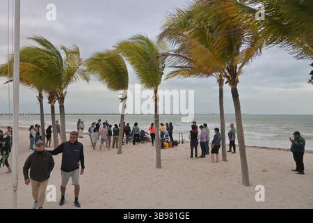 26. Januar 2023, Puerto Progreso, Yucatan, Mexiko: Ein verletzte und gestrandeter Delfin wurde von Mitarbeitern der Abteilung für Meeresbiologie der Autonomen Universität von YucatÃ¡n (UADY) und anderen Polizeibeamten gerettet, da das Säugetier am Donnerstag, den 26. Januar 2023, in eine Beobachtungseinrichtung gebracht wurde, um es über Nacht zu halten und gegebenenfalls weitere Interventionen zu bewerten, um das Meerestier an einem weiteren Termin am Strand von Puerto Progreso in YucatÃ¡n, Mexiko, zurückzubringen. (Bild: © Carlos A. Moreno/ZUMA Press Wire) Stockfoto