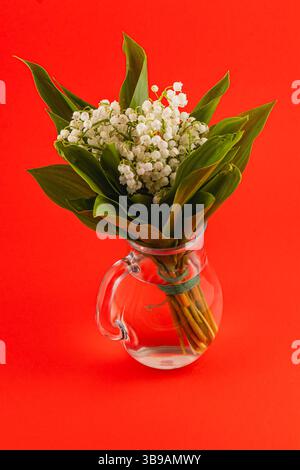 Ein Blumenstrauß aus Maiglöckchen mit zarten weißen Blüten und grünen Blättern wird in einer klaren Glasvase vor einem hellroten Hintergrund präsentiert. Stockfoto