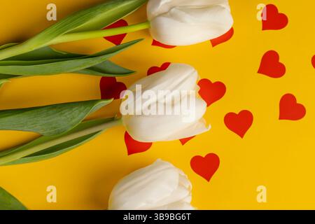 Tulpen auf gelbem Papier mit roten Herzen, roten Herzen und weißen Tulpenblüten auf gelbem Papier Stockfoto