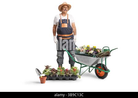 Professioneller Gärtner mit Blumen in einer Schubkarre isoliert auf weißem Hintergrund Stockfoto